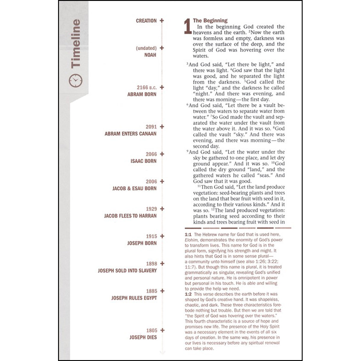 NIV Every Man's Bible Large Print Black / Tan (Imitation Leather)