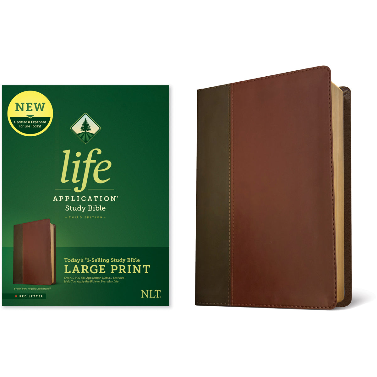 NLT LASB 3rd Edition LP Red Letter Brown / Mahogany (Imitation Leather)