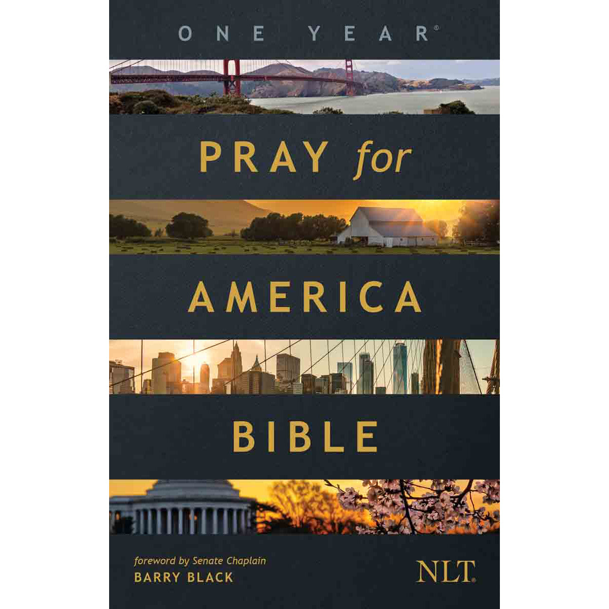 NLT One Year Pray For America Bible (Paperback)