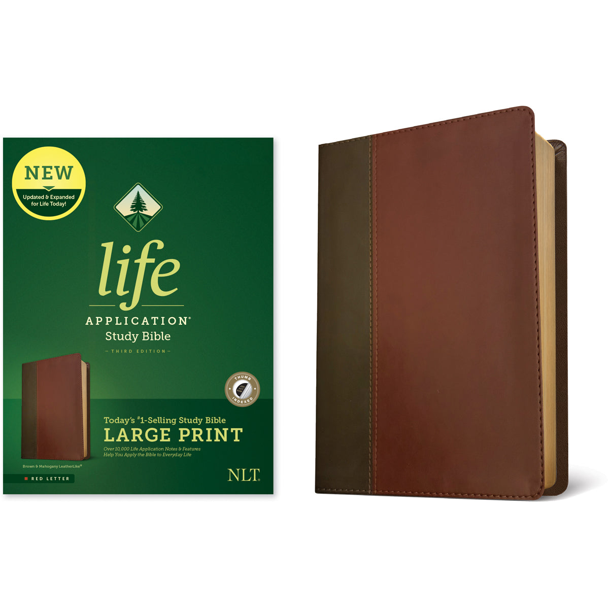 NLT LASB 3rd Edition Large P Index Brn / Mahogany (Imitation Learner)