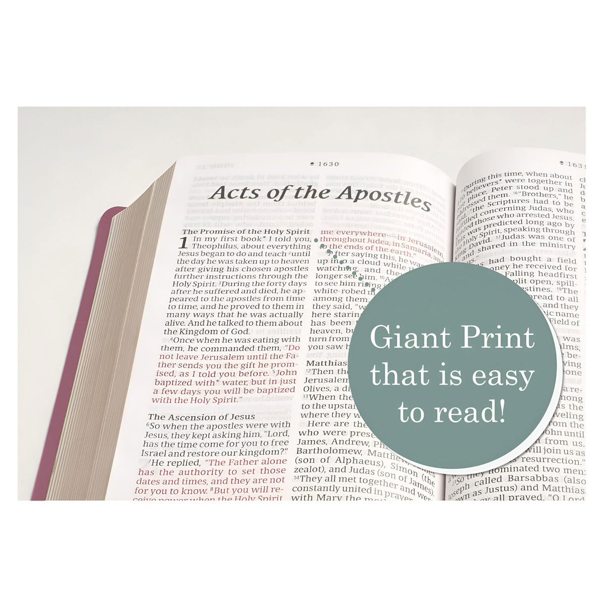 NLT Pink Imitation Leather Personal Size Filament Bible Giant Print