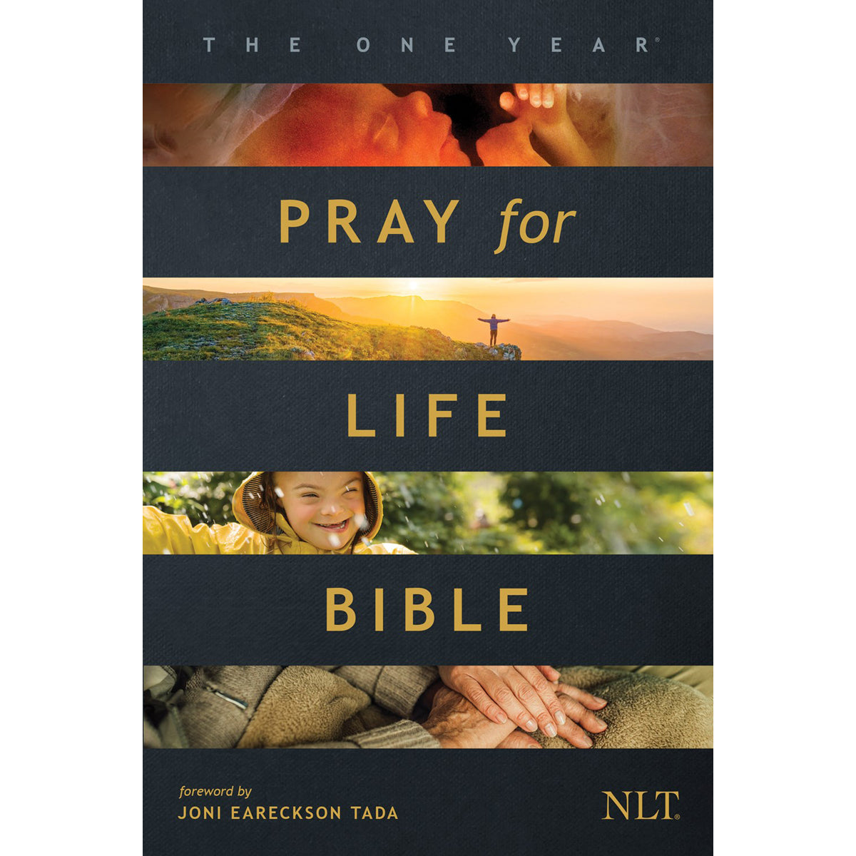NLT The One Year Pray For Life Bible (Paperback)