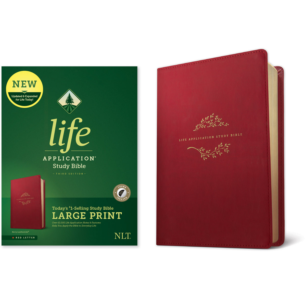 NLT Life Application Study Bible, Third Ed Large Print Indexed Red Letter Berry (Imitation Leather)
