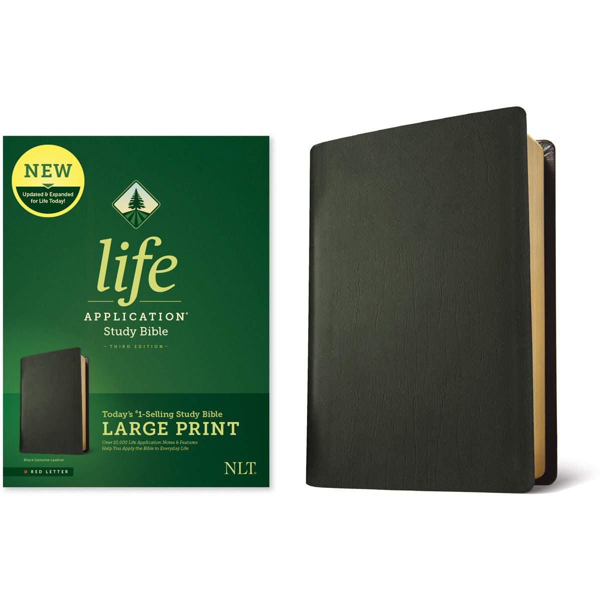 NLT Life Application Study Bible, Third Edition Large Print Red Letter Black (Genuine Leather)
