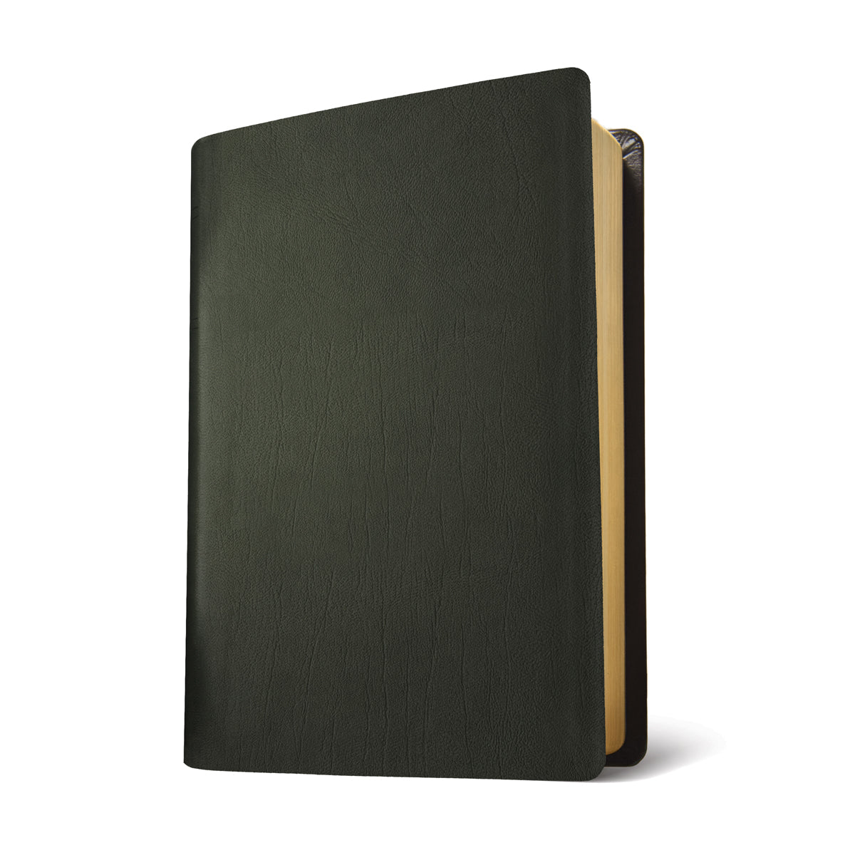 NLT Life Application Study Bible, Third Ed Large Print Indexed Red Letter Black (Genuine Leather)