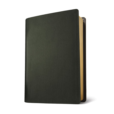 NLT Life Application Study Bible, Third Ed Large Print Indexed Red Letter Black (Genuine Leather)