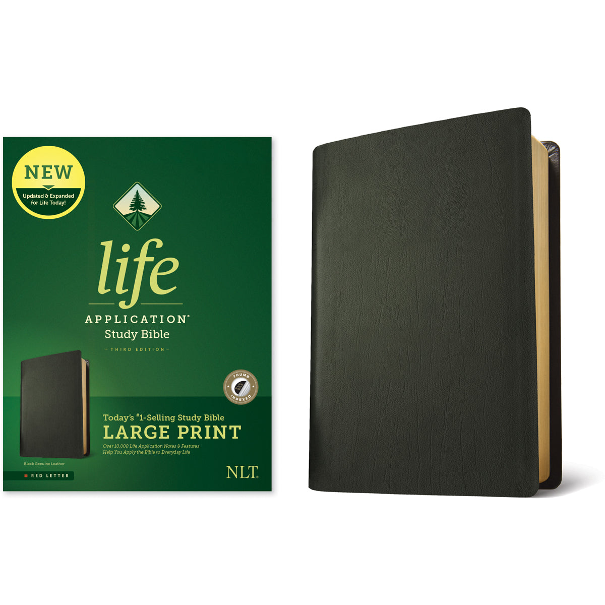 NLT Life Application Study Bible, Third Ed Large Print Indexed Red Letter Black (Genuine Leather)
