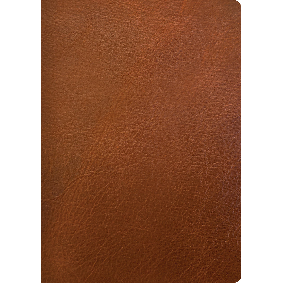 NLT Life Application Study Bible, Third Edition Large Print Red Letter Brown (Genuine Leather)