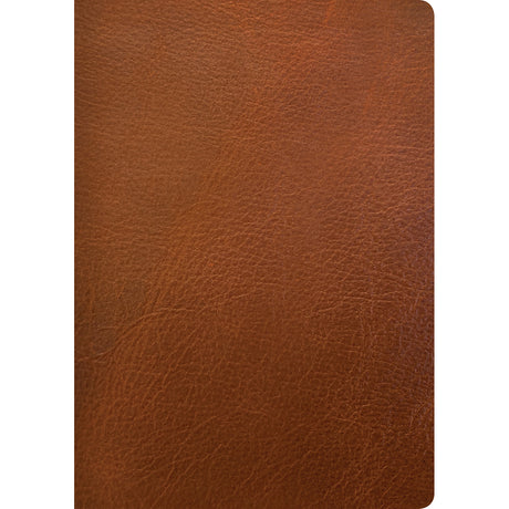 NLT Life Application Study Bible, Third Edition Large Print Red Letter Brown (Genuine Leather)
