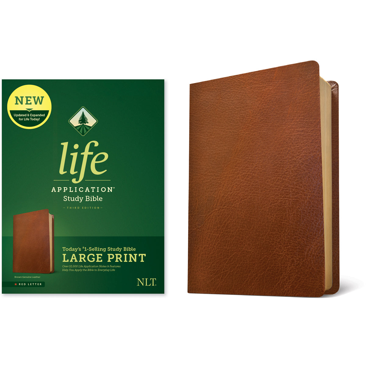 NLT Life Application Study Bible, Third Edition Large Print Red Letter Brown (Genuine Leather)