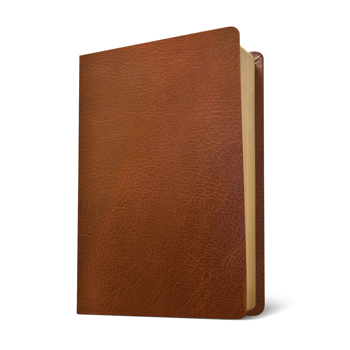 NLT Life Application Study Bible, Third Edition Large Print Red Letter Brown (Genuine Leather)
