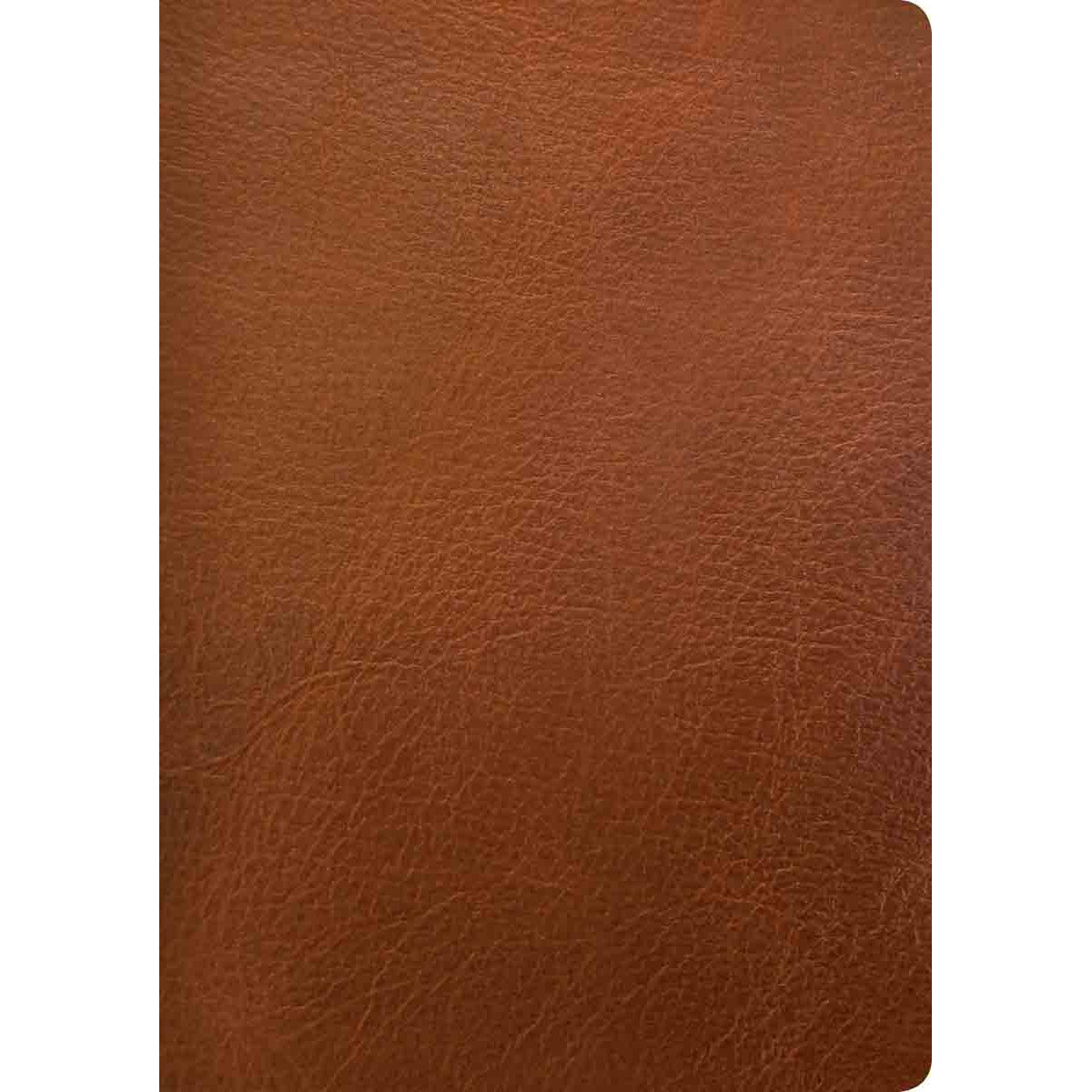 NLT Life Application Study Bible, Third Ed Large Print Indexed Red Letter Brown (Genuine Leather)