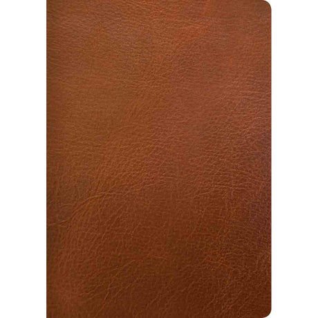 NLT Life Application Study Bible, Third Ed Large Print Indexed Red Letter Brown (Genuine Leather)