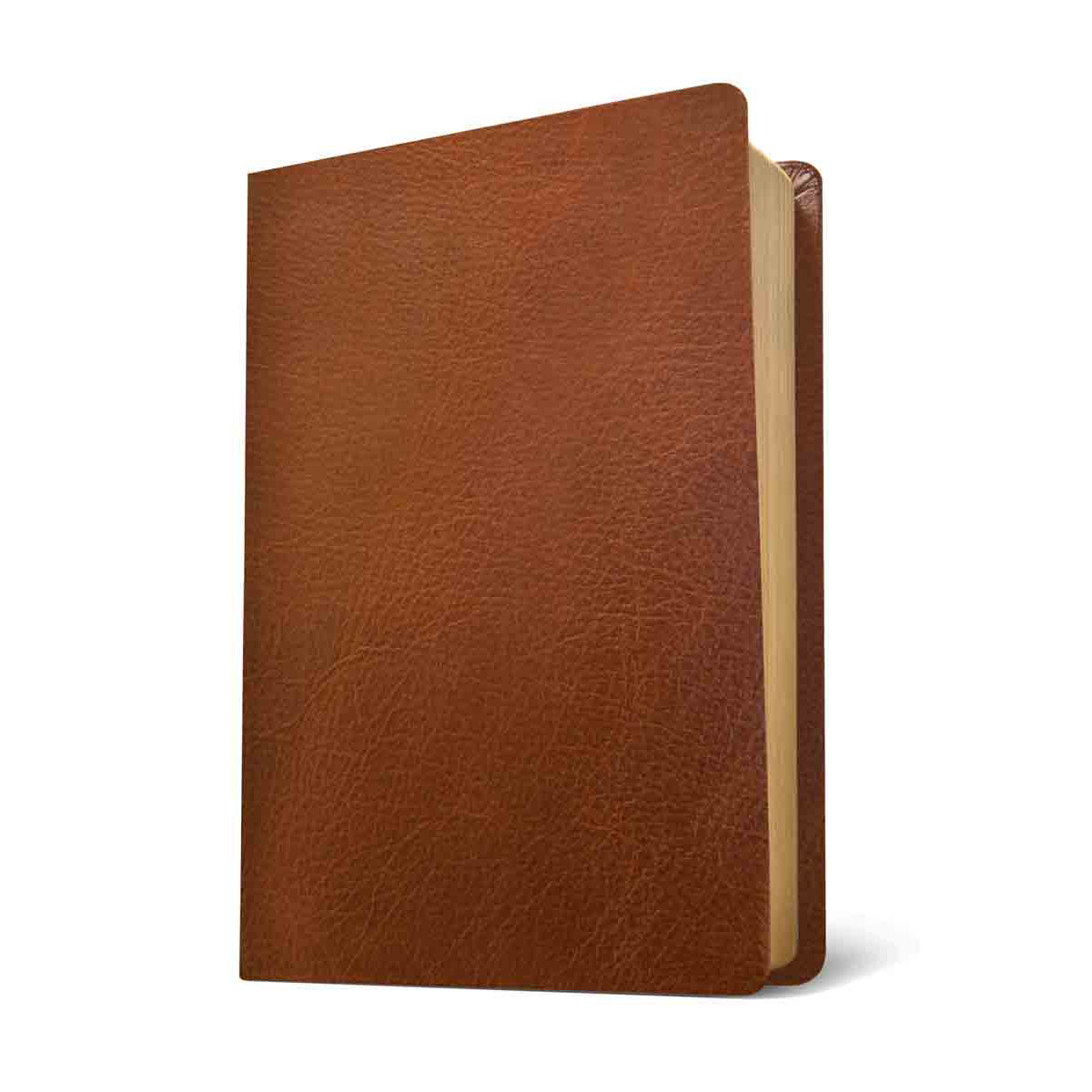 NLT Life Application Study Bible, Third Ed Large Print Indexed Red Letter Brown (Genuine Leather)