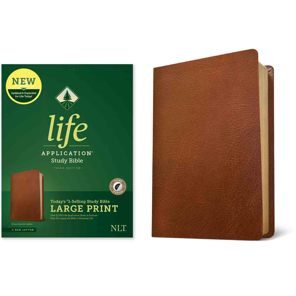NLT Life Application Study Bible, Third Ed Large Print Indexed Red Letter Brown (Genuine Leather)