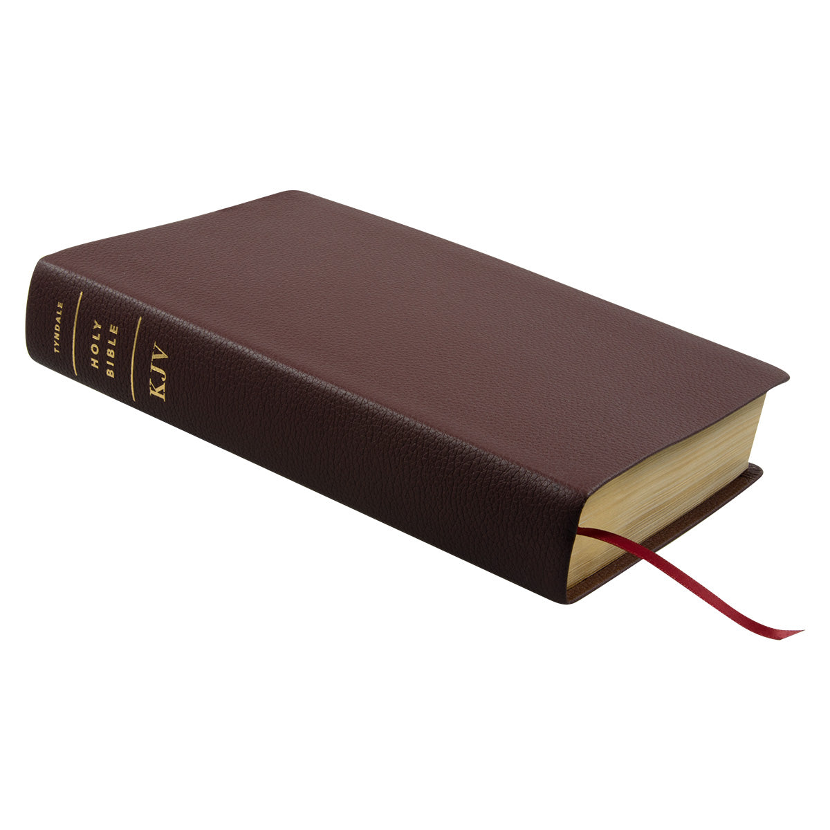 KJV Personal Size Filament Enabled Bible Giant Print (Genuine Leather)