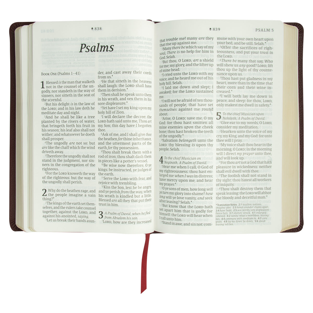 KJV Personal Size Filament Enabled Bible Giant Print (Genuine Leather)