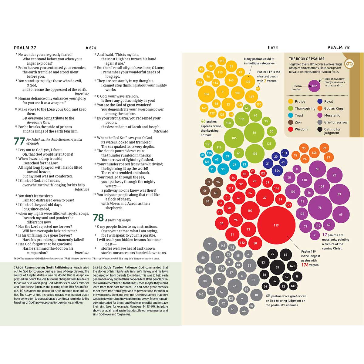 NLT Life Application Student Bible Filament Enabled Editon Red Letter Teal (Imitation Leather)