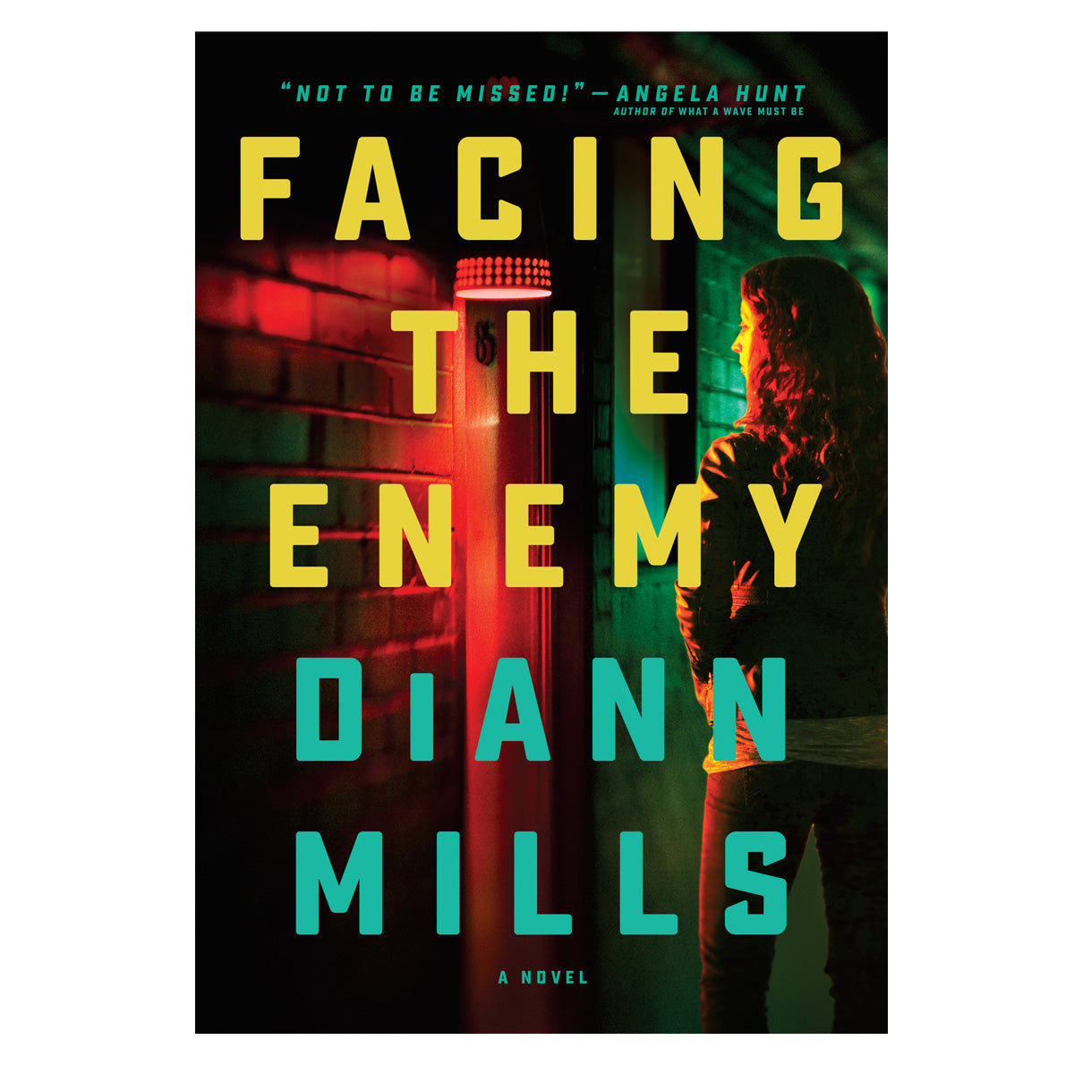 Facing the Enemy: A Novel (Paperback)