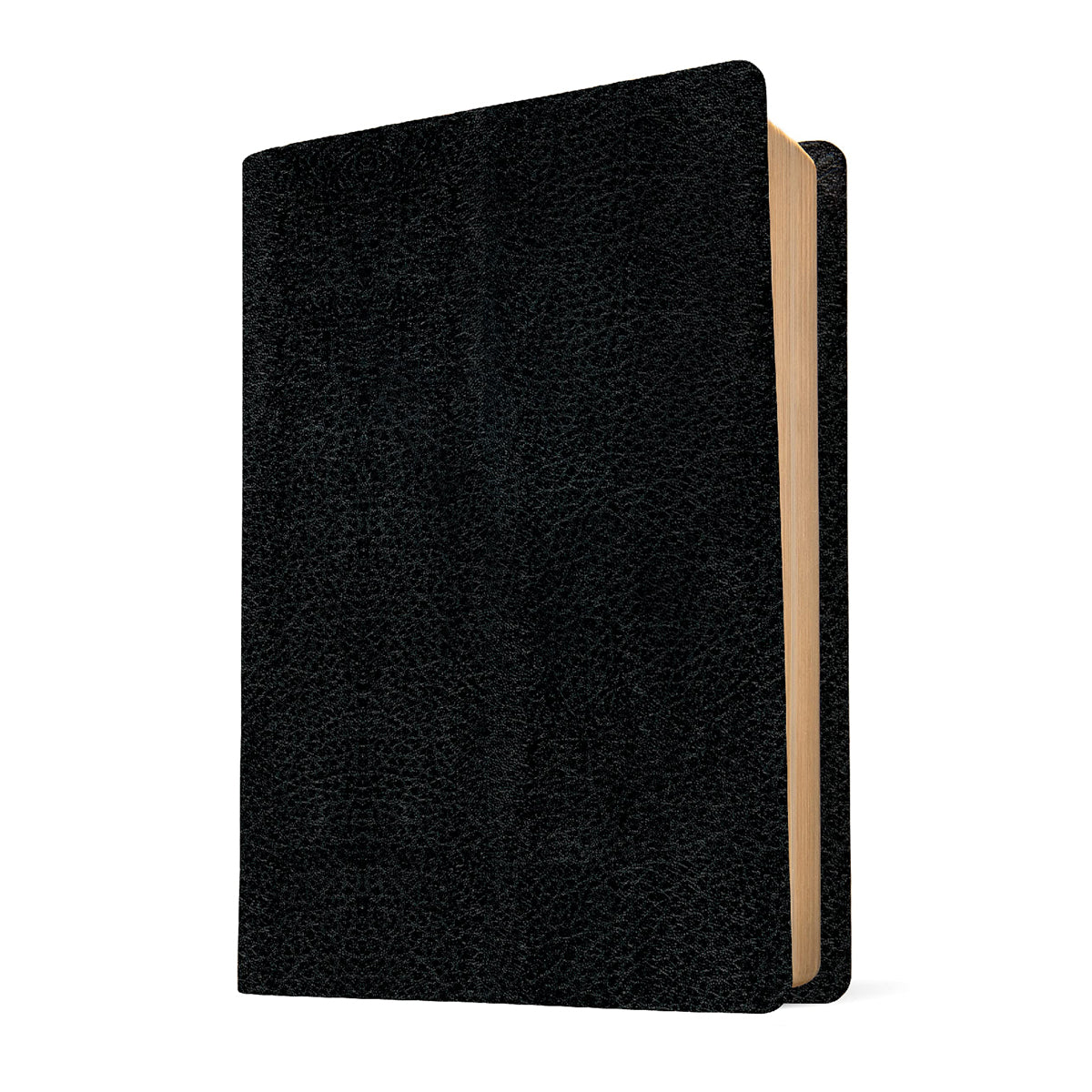 NKJV Life Application Study Bible Third Edition, Large Print, Red Letter, Black (Immitation Leather)