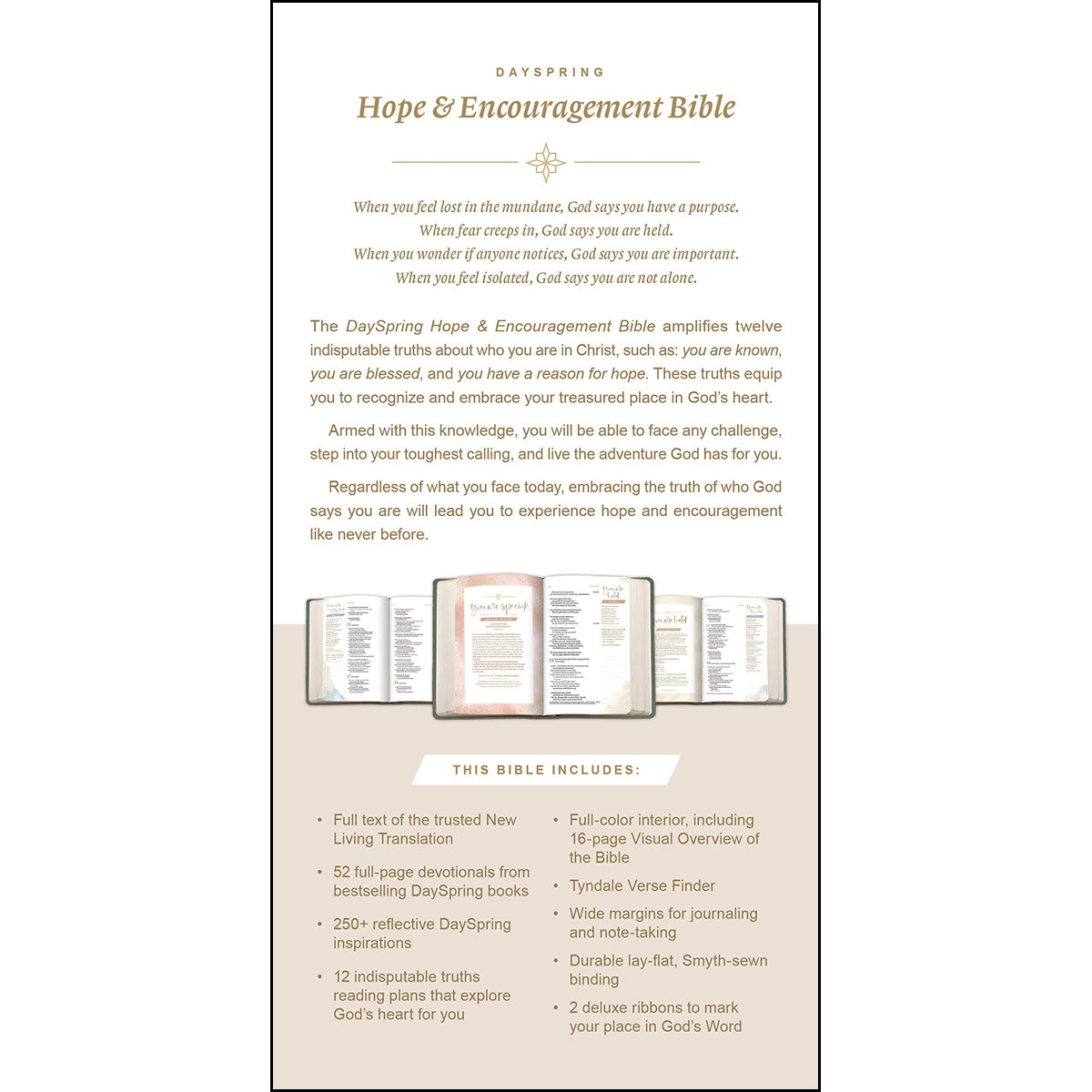 NLT DaySpring Hope & Encouragement Bible, Seafoam Green (Hardcover)