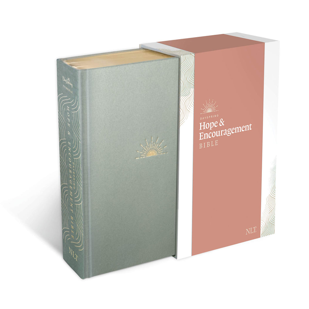 NLT DaySpring Hope & Encouragement Bible, Seafoam Green (Hardcover)