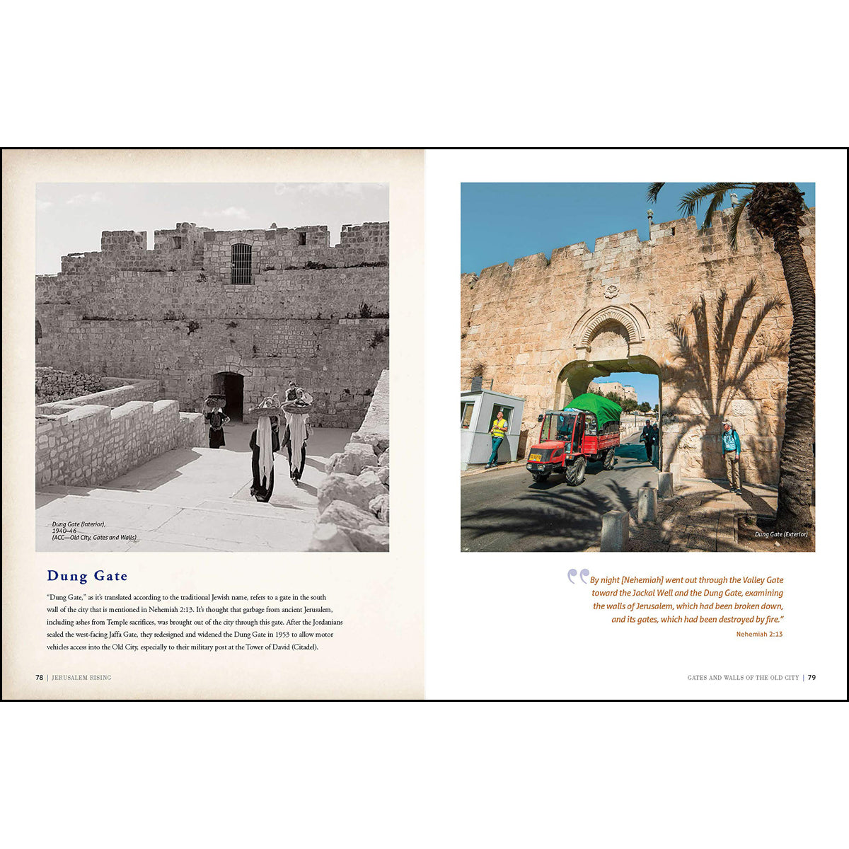 Jerusalem Rising: The City Of Peace Reawakens (Ancient Prophecy / Modern Lens)(Hardcover)