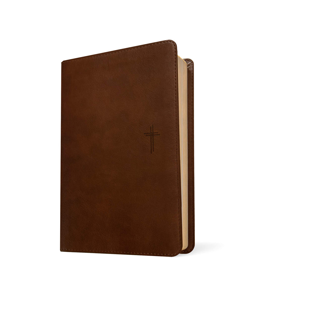 NLT Filament Compact Bible, Red Letter, Rustic Brown (Imitation Leather)