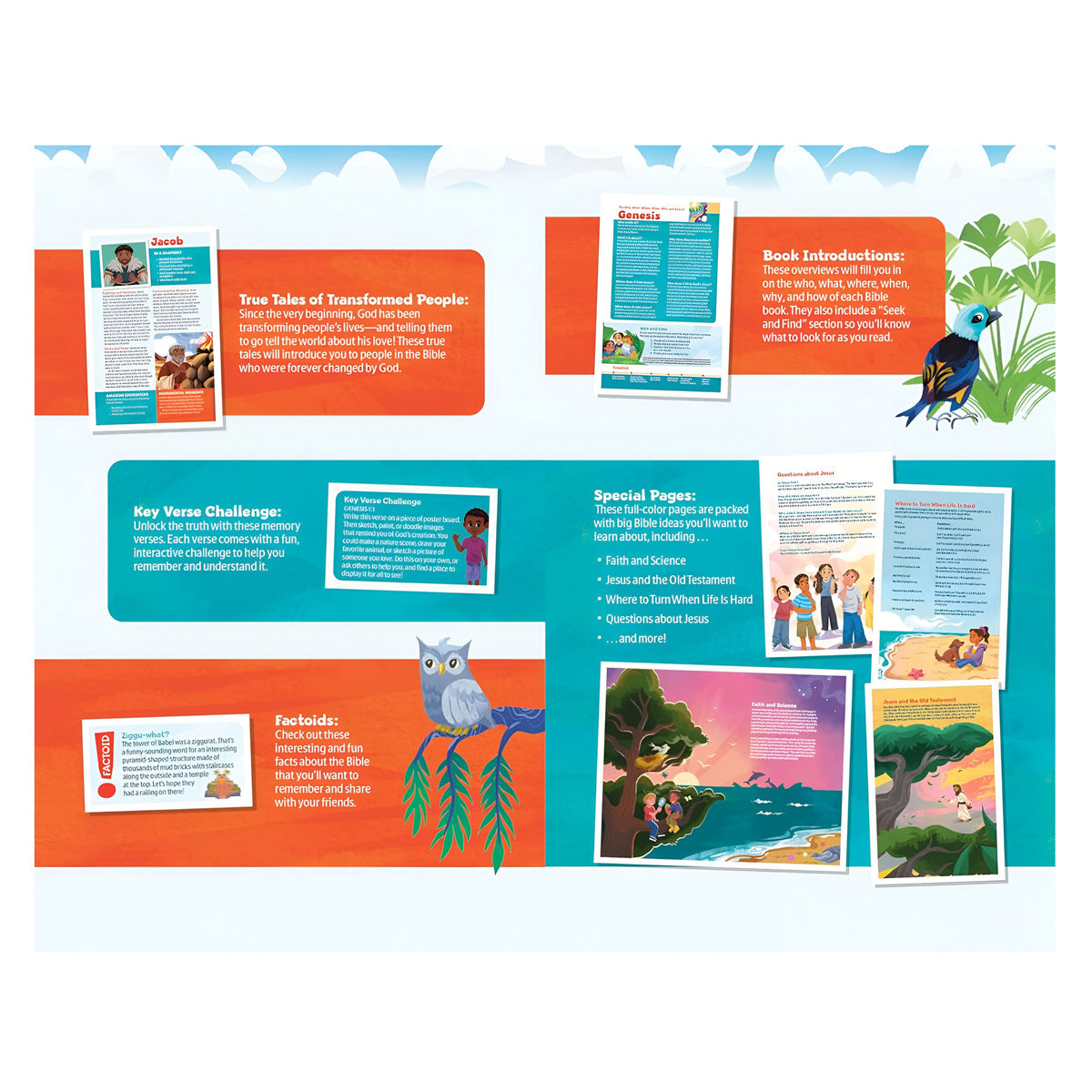 NLT Paperback Go Bible for Kids