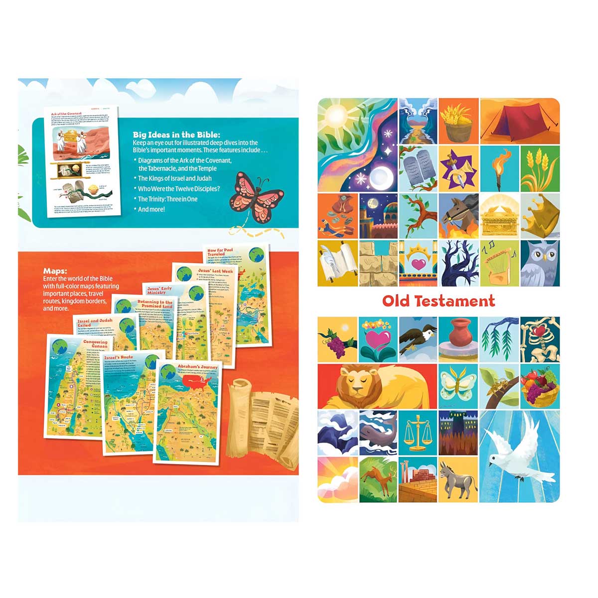 NLT Paperback Go Bible for Kids