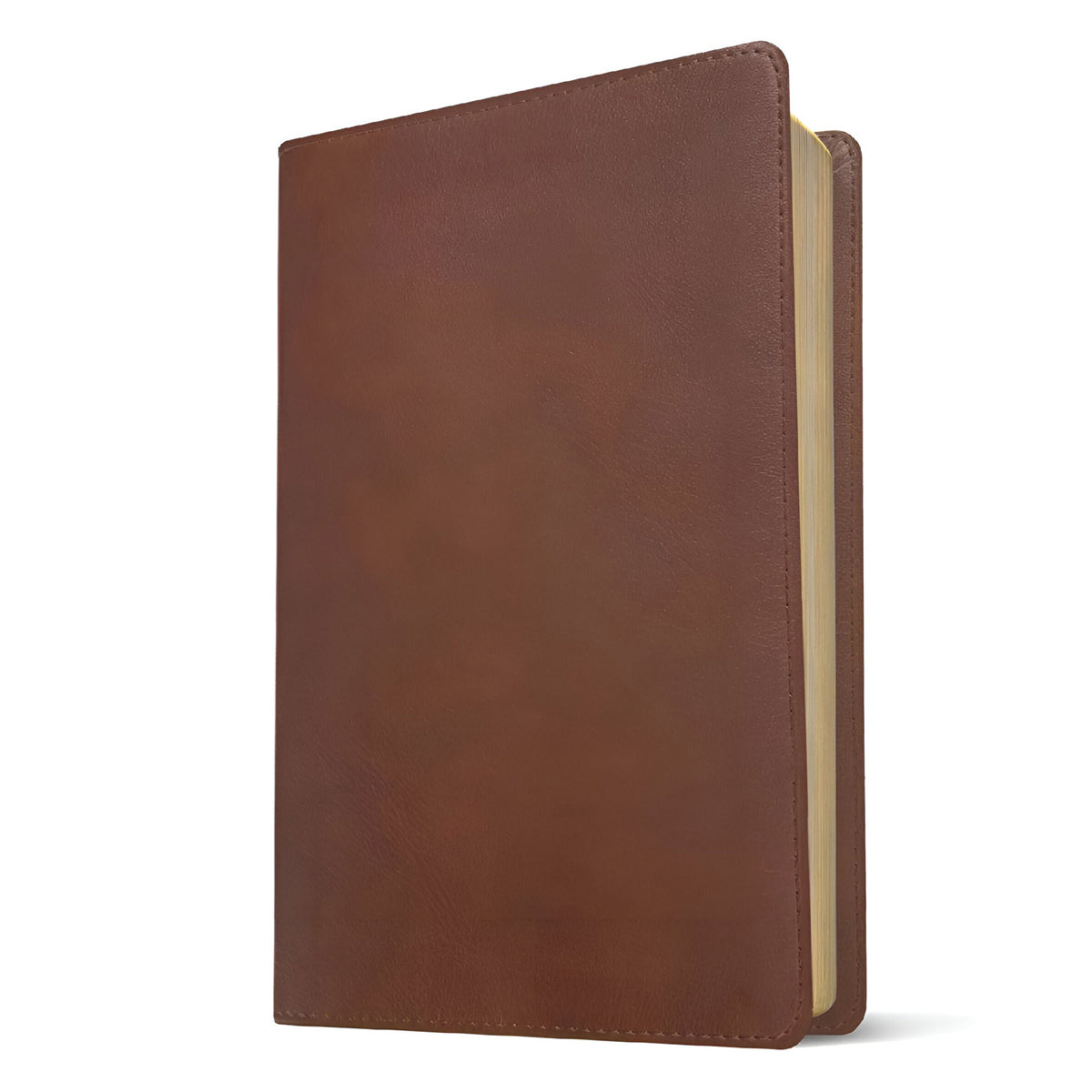 NLT Filament Bible Super Giant Print Red Letter Brown (Imitation Leather)