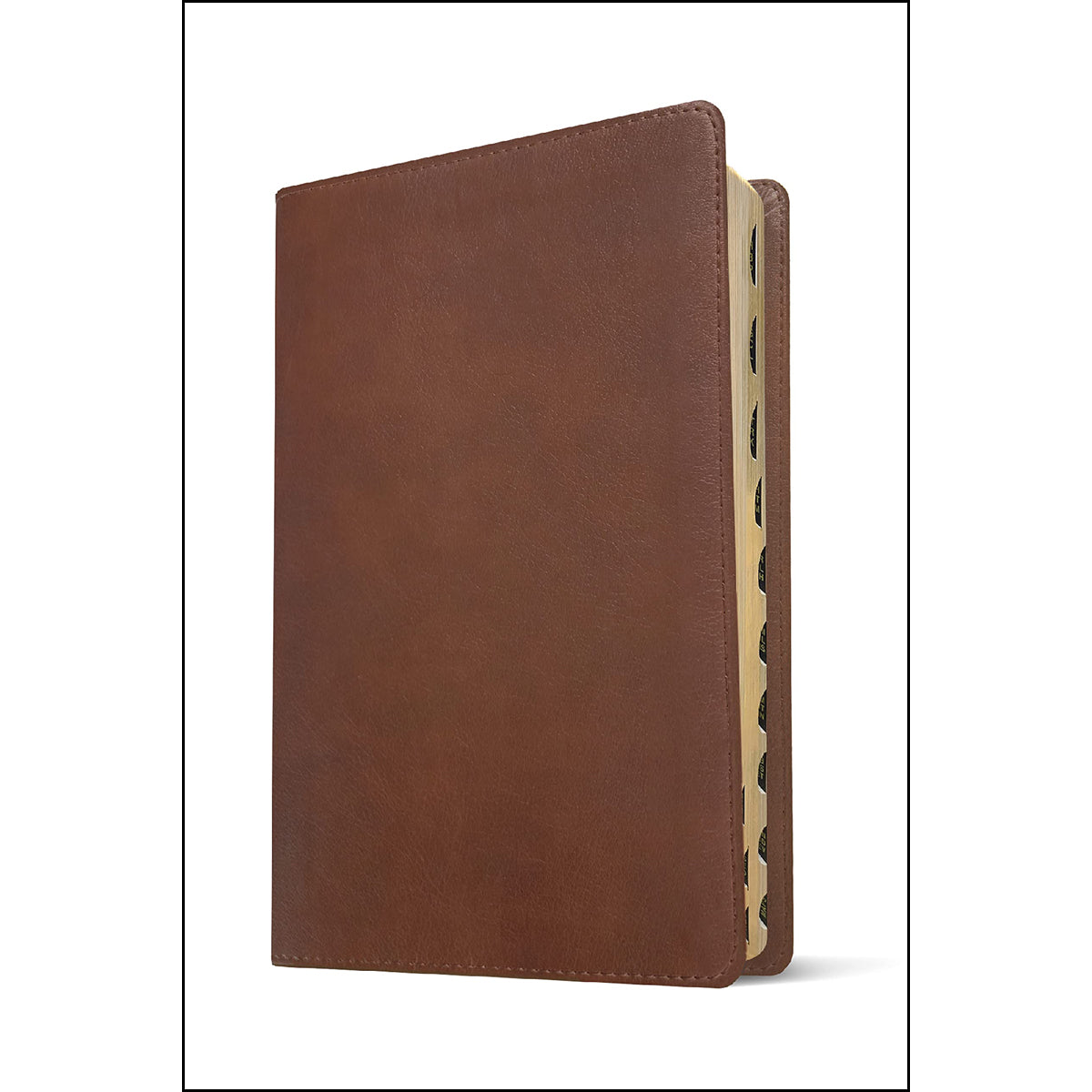 NLT Filament Bible Super Giant Print Red Letter Brown Indexed (Imitation Leather)