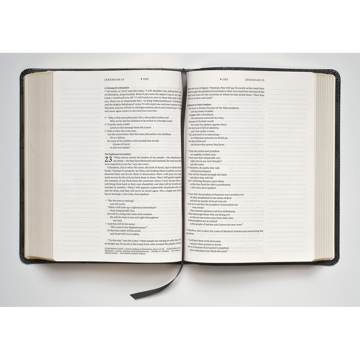 NLT Filament Enabled Bible, Wide Margin, Red Letter, Black Cross (Hardcover)