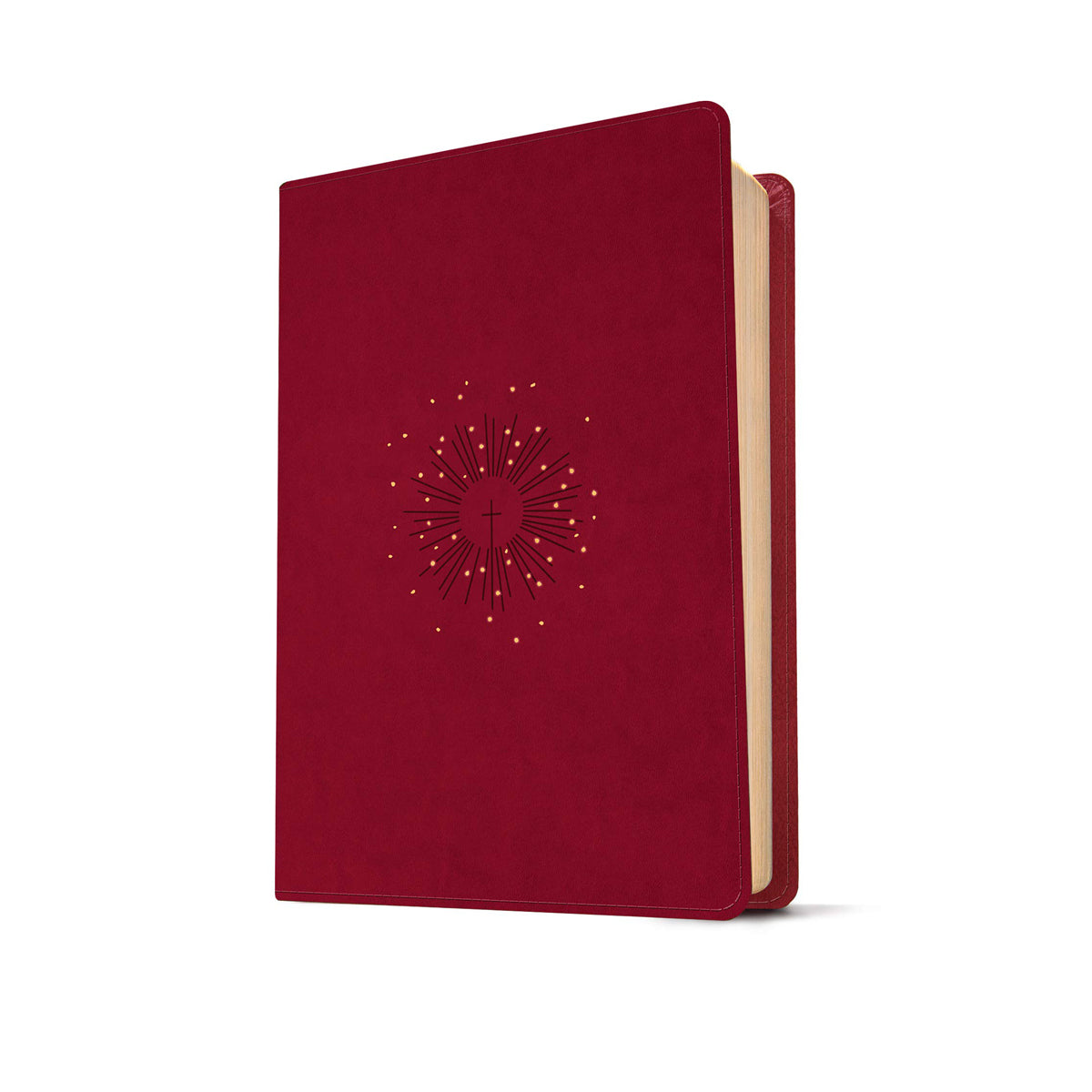 NLT Filament Personal Size, Giant Print Bible, Red Letter, Cranberry (Imitation Leather)