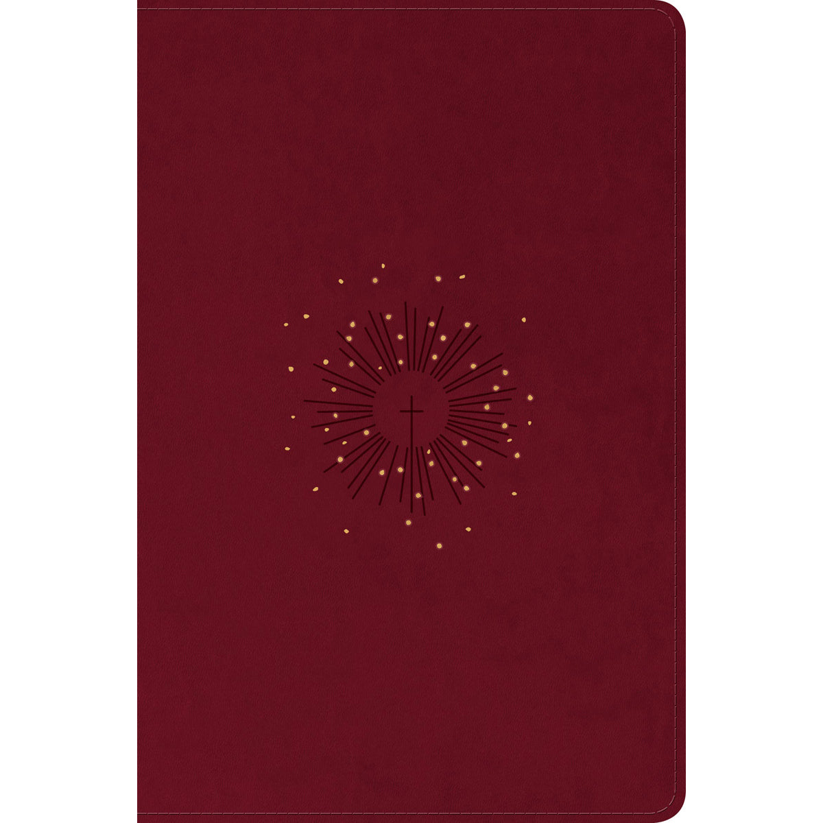 NLT Filament Personal Size, Giant Print Bible, Red Letter, Cranberry (Imitation Leather)