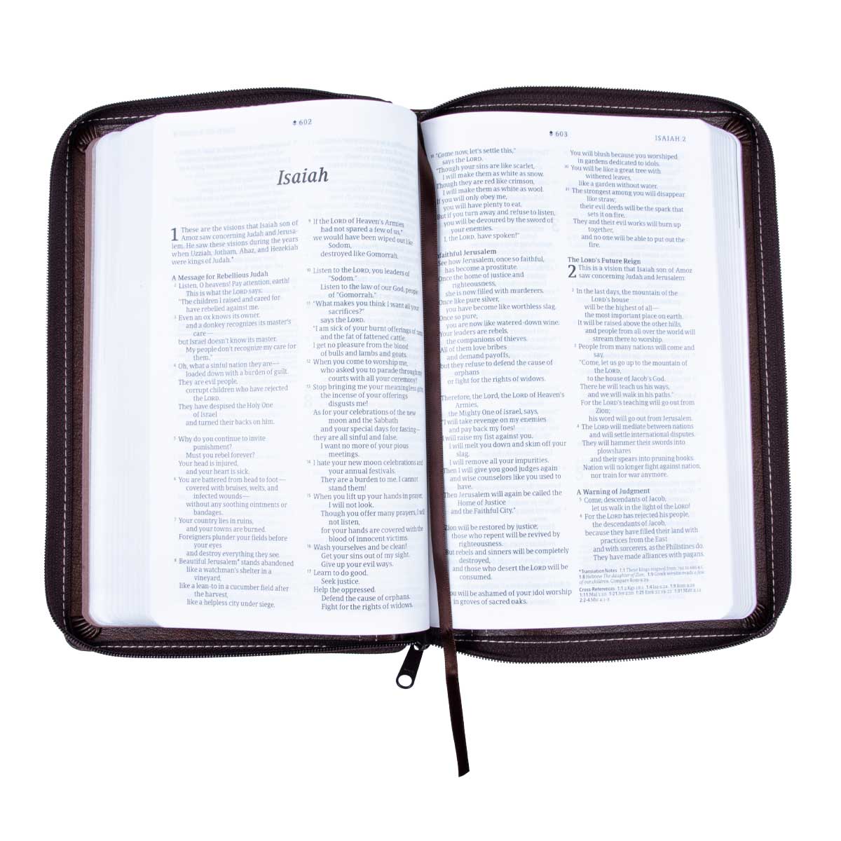 NLT Filament Thinline Reference Bible, Rustic Brown With Zip (Imitation Leather)