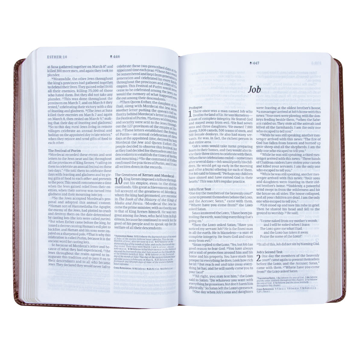 NLT Filament Thinline Reference Bible, Messenger Brown (Imitation Leather)