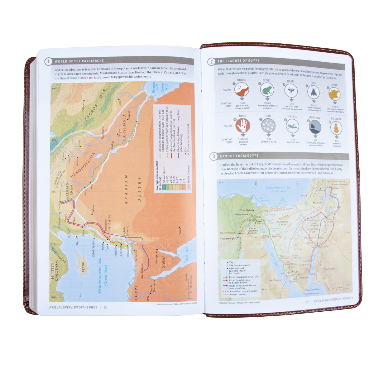 NLT Filament Thinline Reference Bible, Messenger Brown (Imitation Leather)