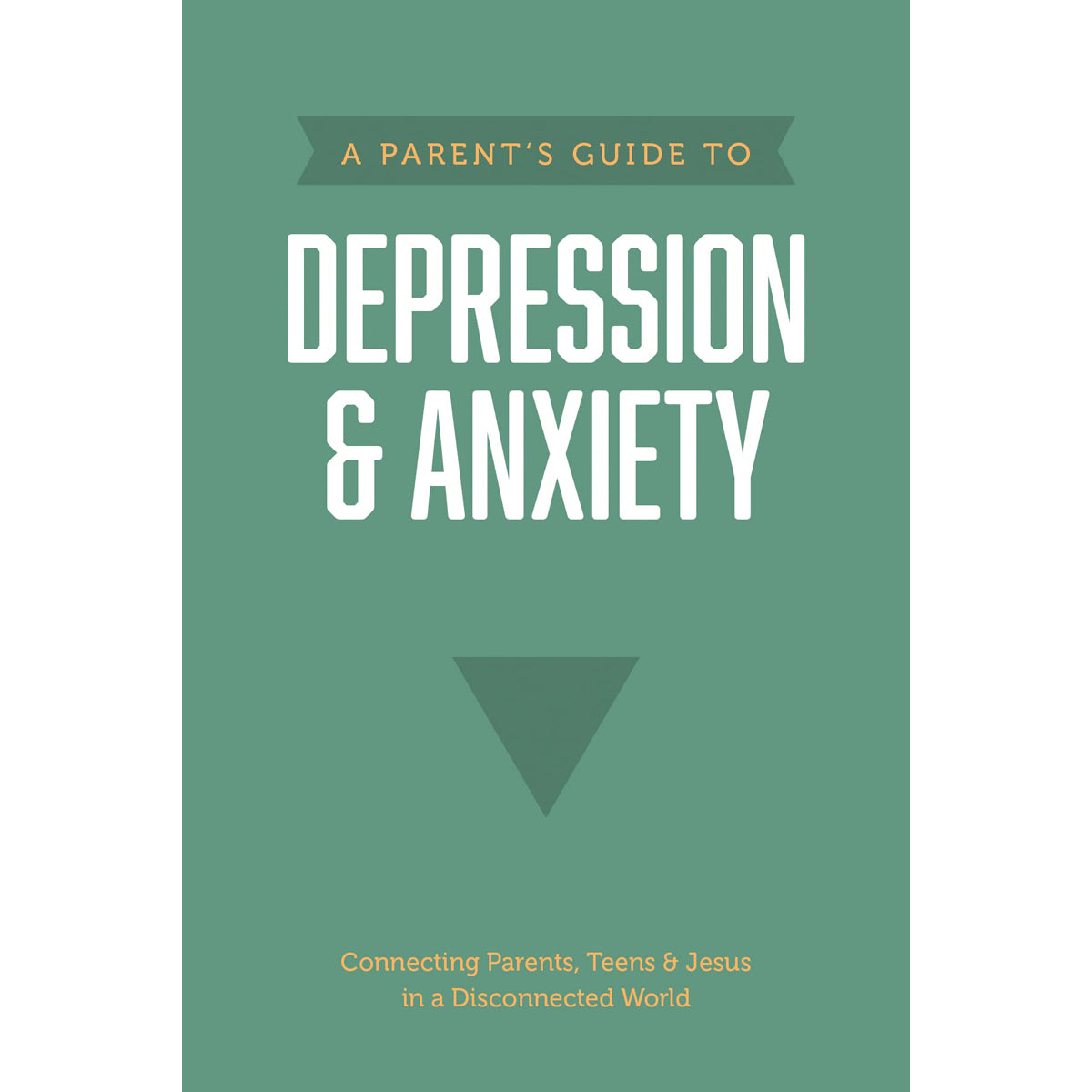 Parents Guide To Depression And Anxiety Axis (Paperback)