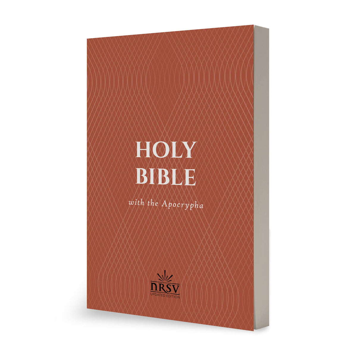 NRSV Economy Bible With Apocrypha Updated Edition (Paperback)