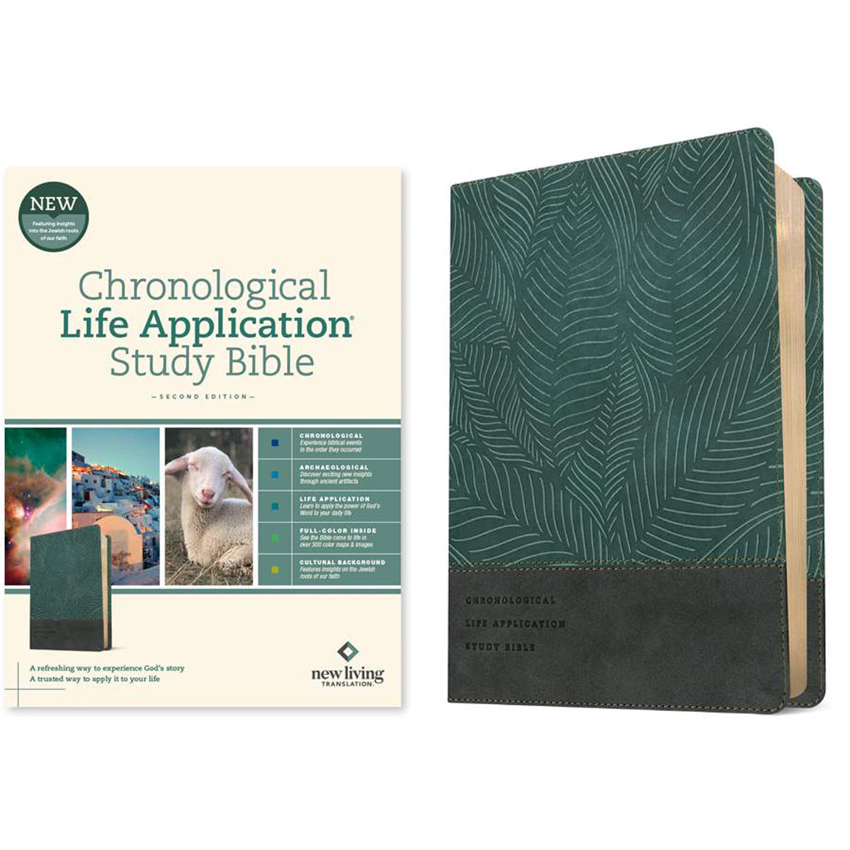 NLT Palm Forest Teal Imitation Leather Chronological Life Application Study Bible Second Edition