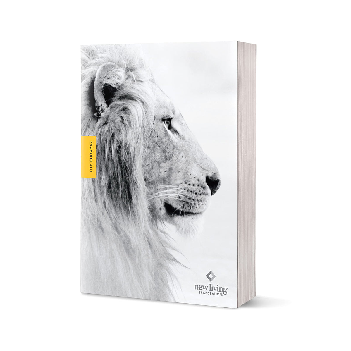 NLT Courage For Life Filament Enabled Study Bible For Men (Paperback)