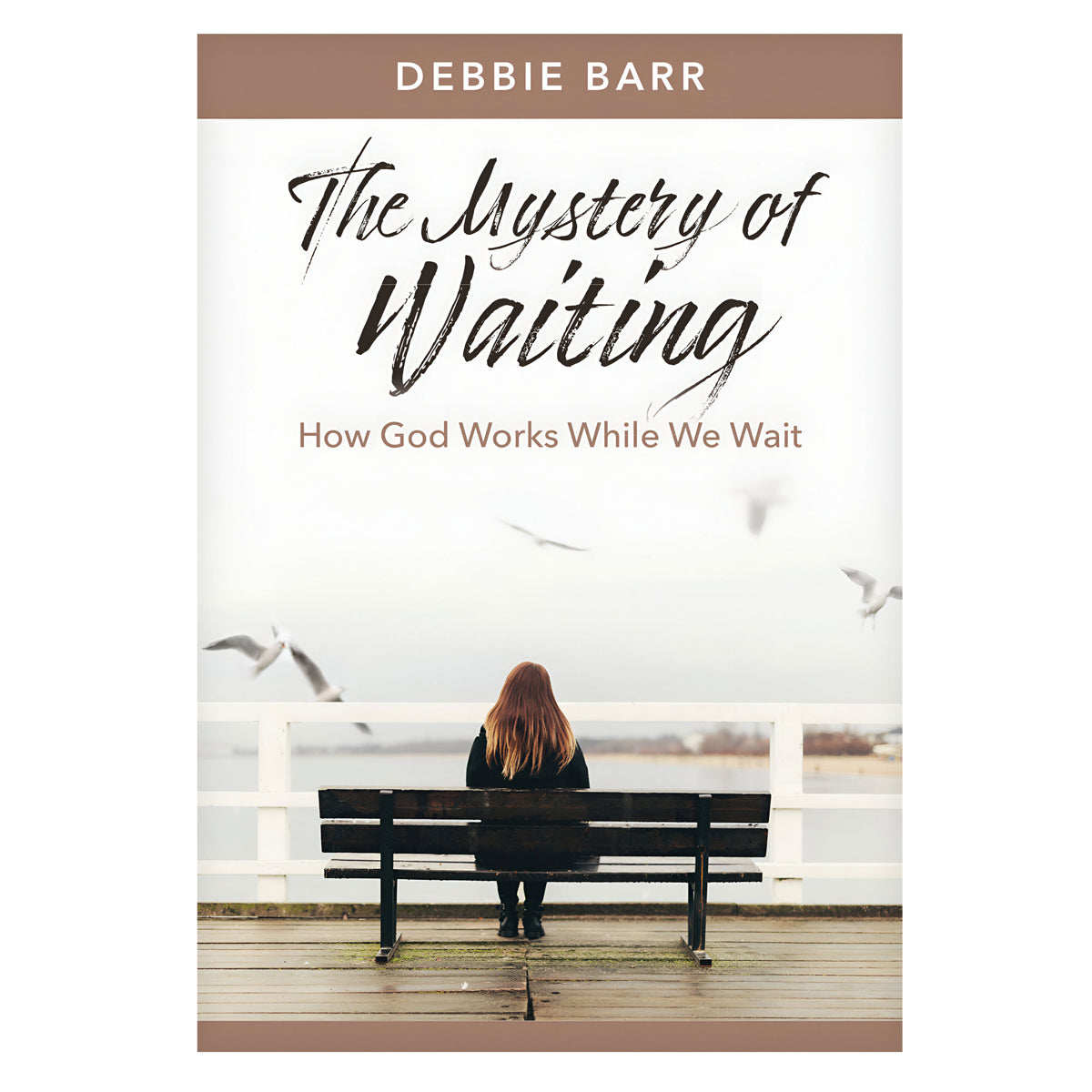 The Mystery of Waiting: How God Works While We Wait - Hope and Healing (Paperback)
