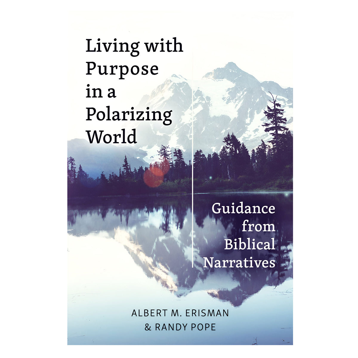 Living with Purpose in a Polarizing World: Guidance from Biblical Narratives PB