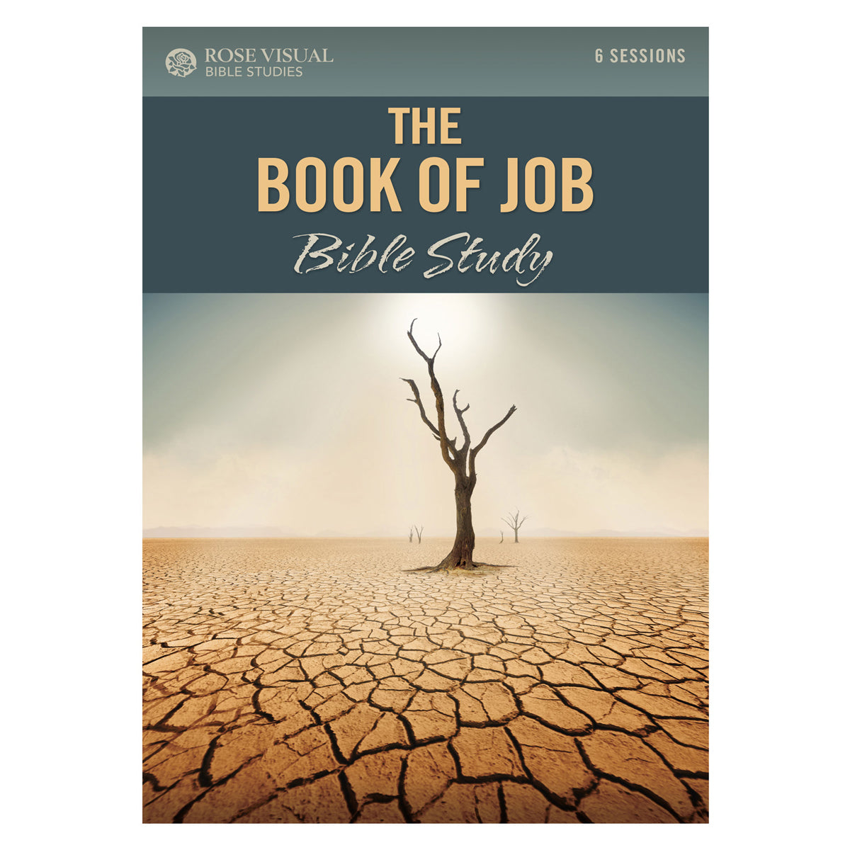 The Book of Job - Rose Visual Bible Studies (Paperback)