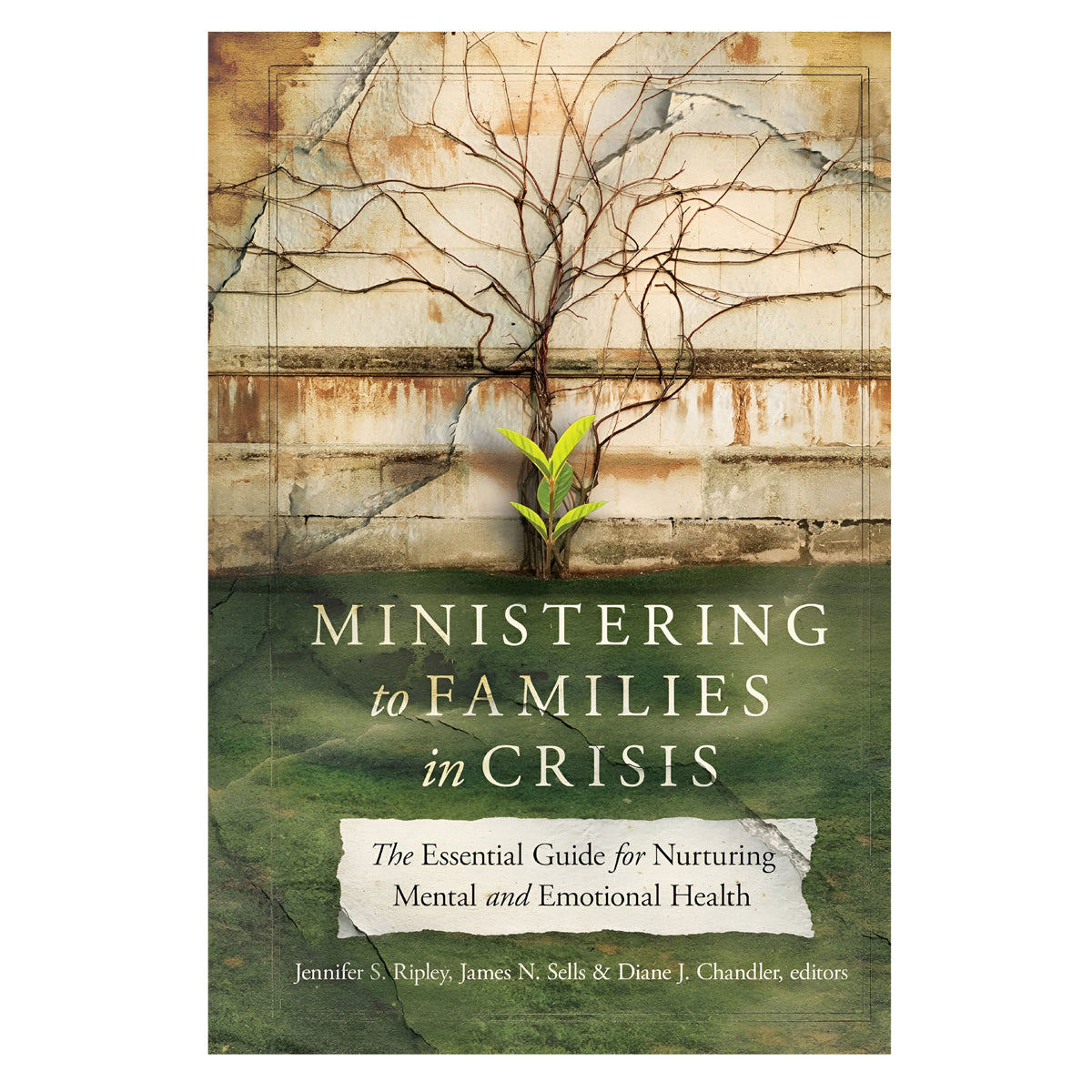 Ministering to Families in Crisis: The Essential Guide for Nurturing Mental & Emotional Health HC