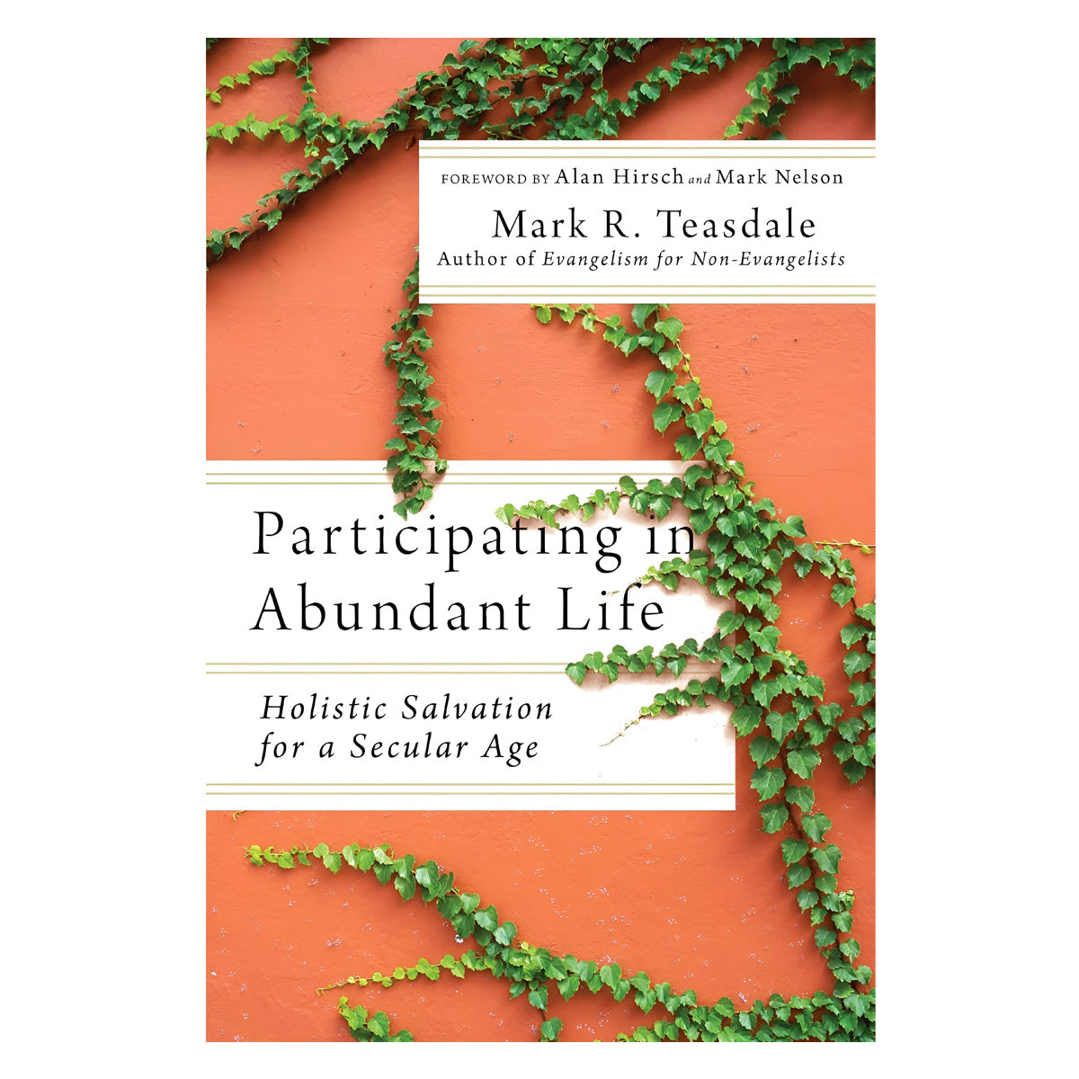 Participating in Abundant Life: Holistic Salvation for a Secular Age (Paperback)