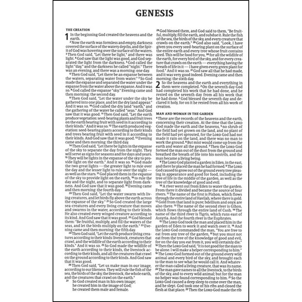 CSB Compact Bible Value Edition Brown (Imitation Leather)