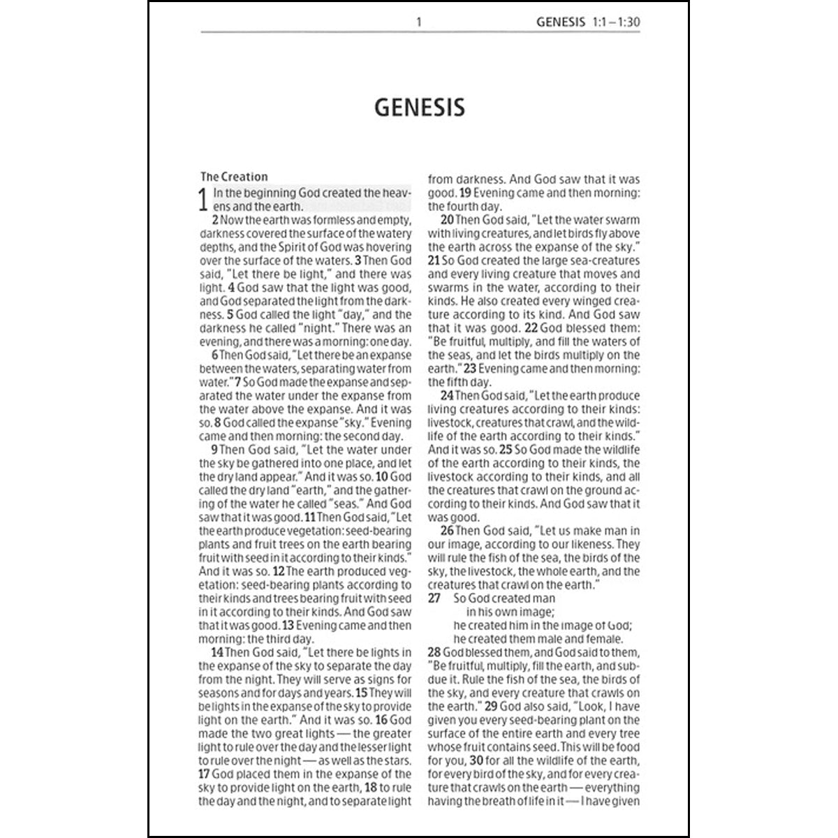 CSB Easy For Me Bible For Early Readers (Hardcover)