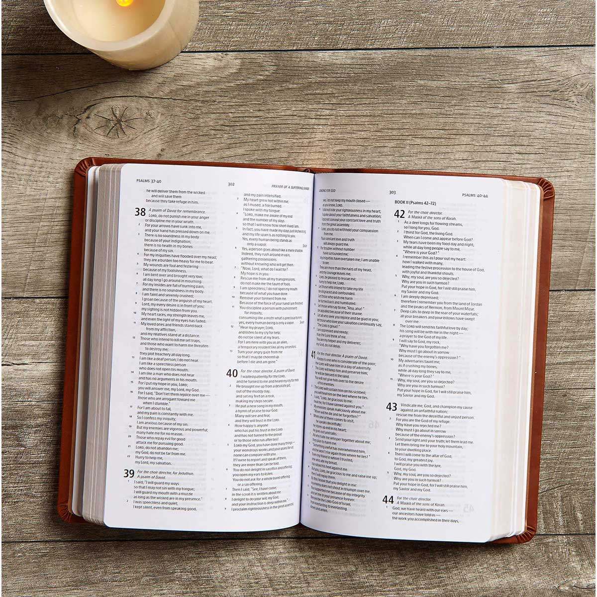 CSB Deluxe Gift Bible Brown (Imitation Leather)